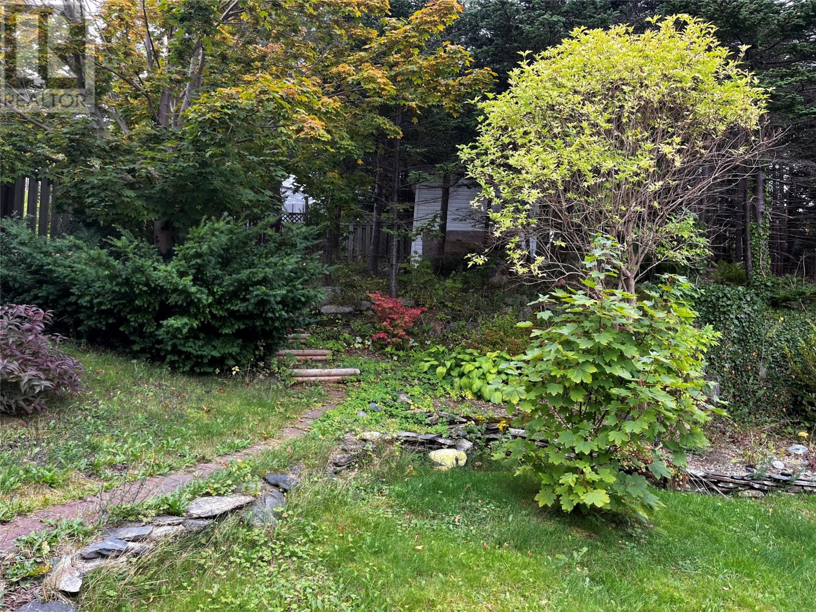 105 Main Road, Winterton, Newfoundland & Labrador  A0B 3M0 - Photo 4 - 1290961