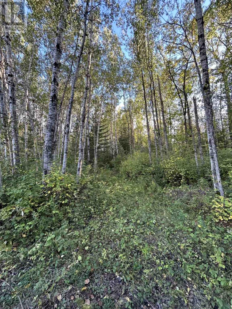 Pcl 14215 Alberton Township, Fort Frances, Ontario  P9A 3M2 - Photo 2 - TB243005