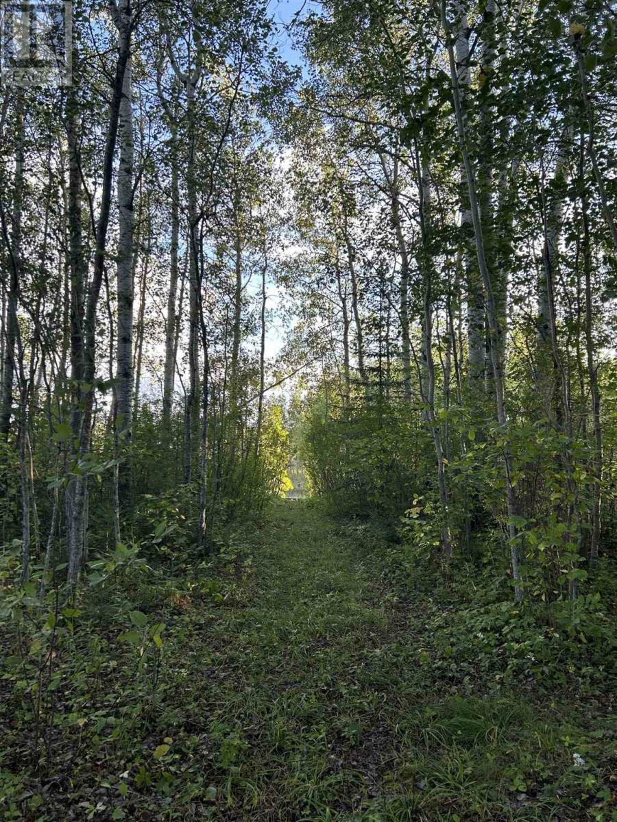 Pcl 14215 Alberton Township, Fort Frances, Ontario  P9A 3M2 - Photo 3 - TB243005