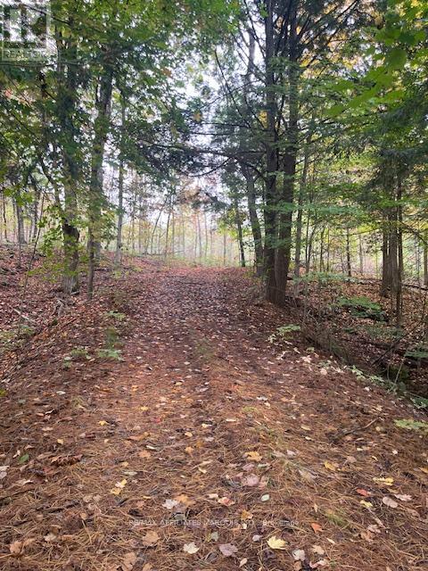 1738 COUNTY 2 ROAD, Edwardsburgh/Cardinal, Ontario