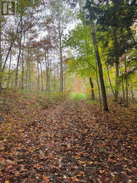 1738 County 2 Road, Edwardsburgh/cardinal, Ontario  K0E 1T0 - Photo 2 - X12432164