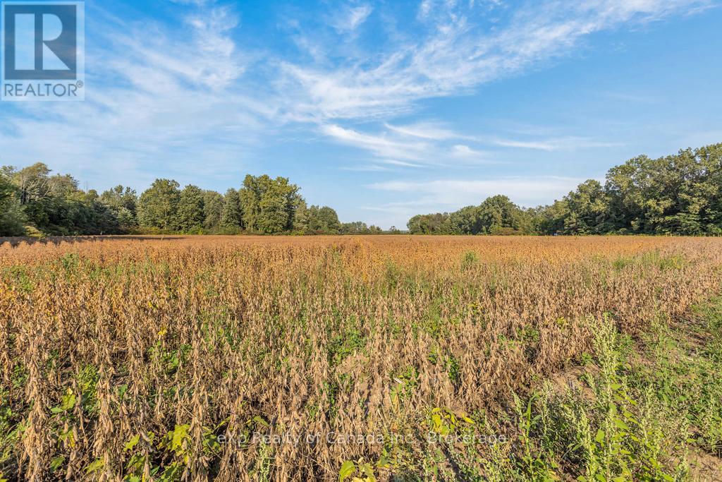 Pt Lt 3-4 Con E/s North Road, Norfolk, Ontario  N0J 1Z0 - Photo 17 - X12432140