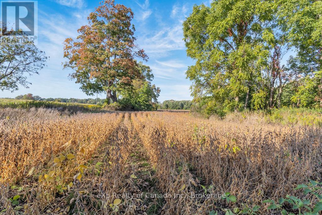 Pt Lt 3-4 Con E/s North Road, Norfolk, Ontario  N0J 1Z0 - Photo 21 - X12432140