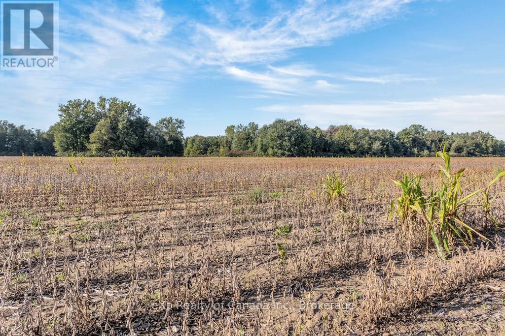 Pt Lt 3-4 Con E/s North Road, Norfolk, Ontario  N0J 1Z0 - Photo 22 - X12432140