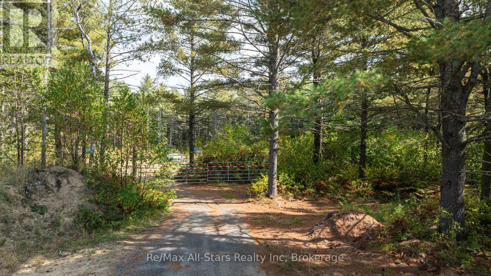 25798 Highway 35 Highway, Lake Of Bays, Ontario  P0A 1H0 - Photo 14 - X12432194