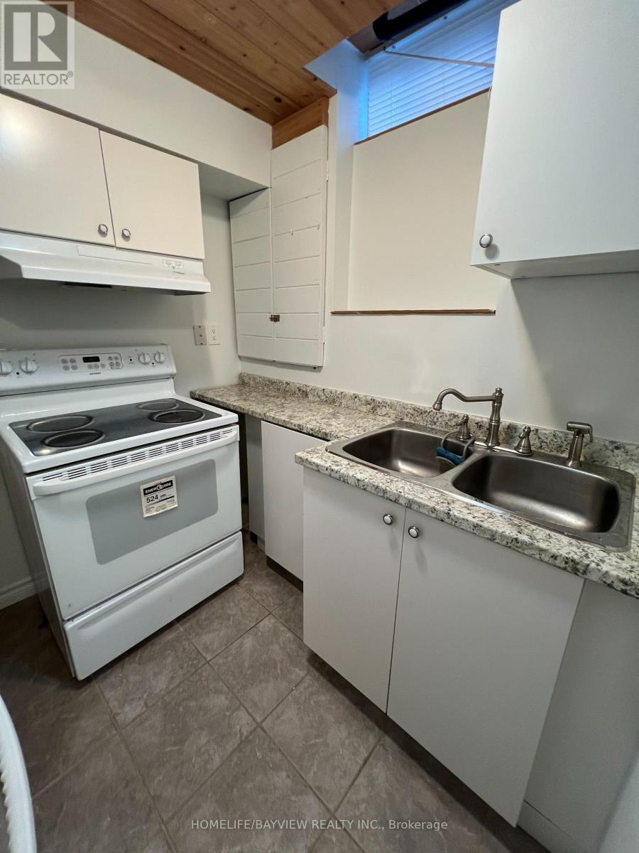 Bmnt - 379 Carruthers Avenue, Newmarket, Ontario  L3X 2B8 - Photo 6 - N12409570