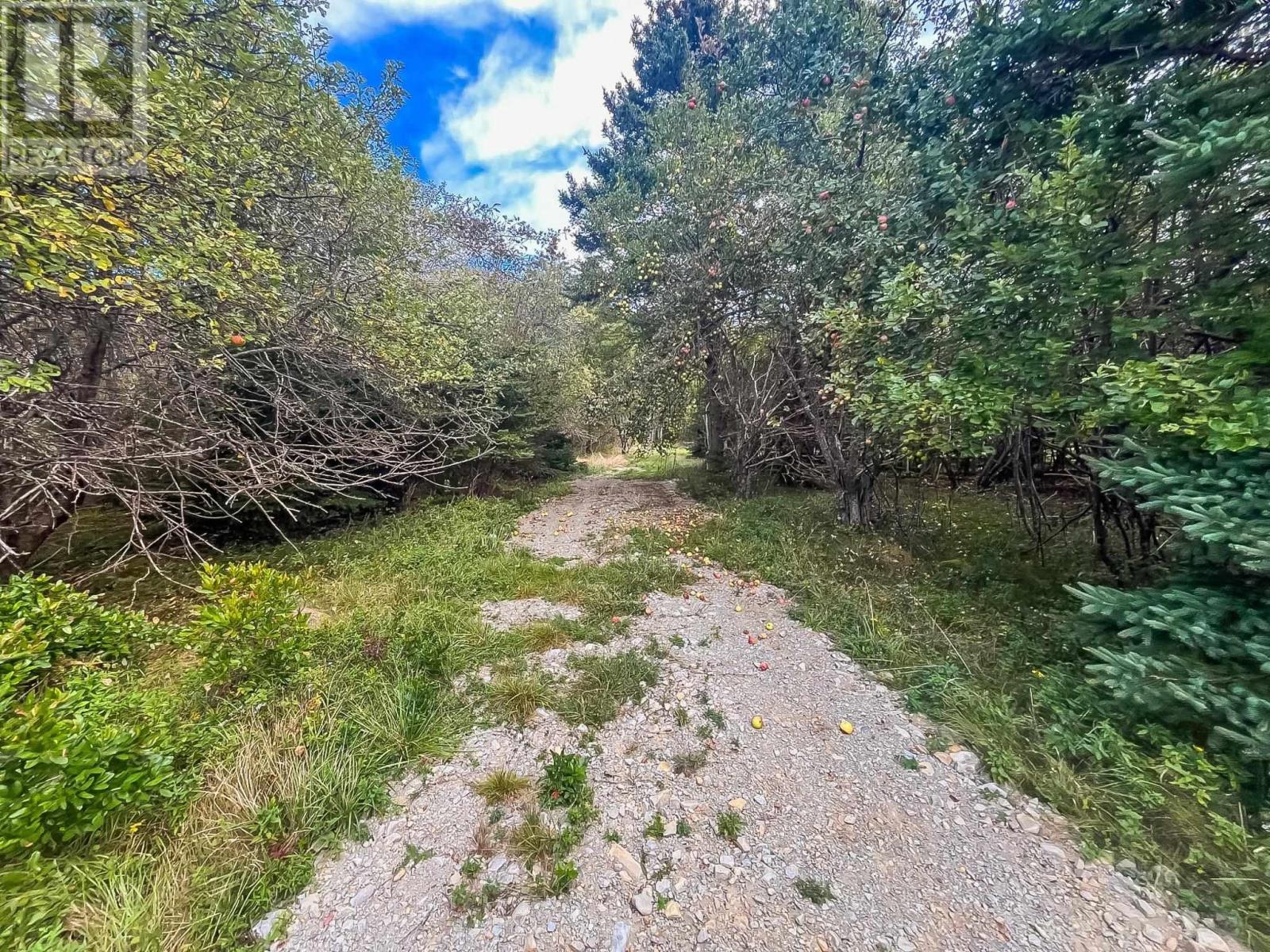 9067 Highway 331, Voglers Cove, Nova Scotia  B0J 2H0 - Photo 30 - 202524588
