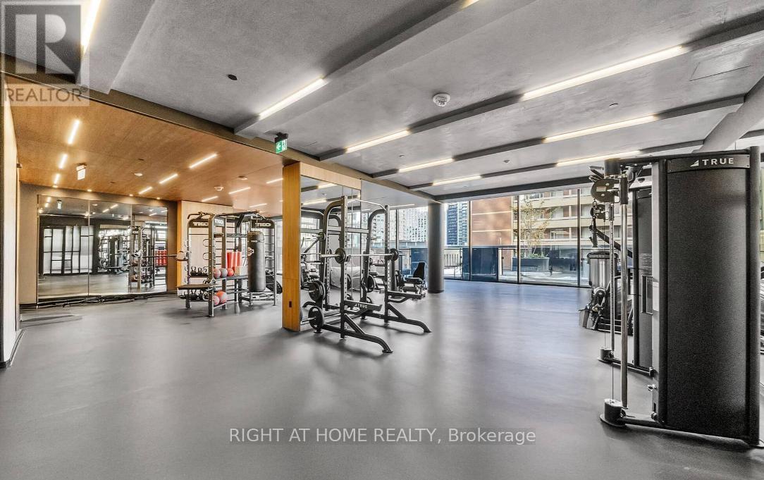 4308 - 55 Charles Street E, Toronto, Ontario  M4Y 0J1 - Photo 21 - C12432127