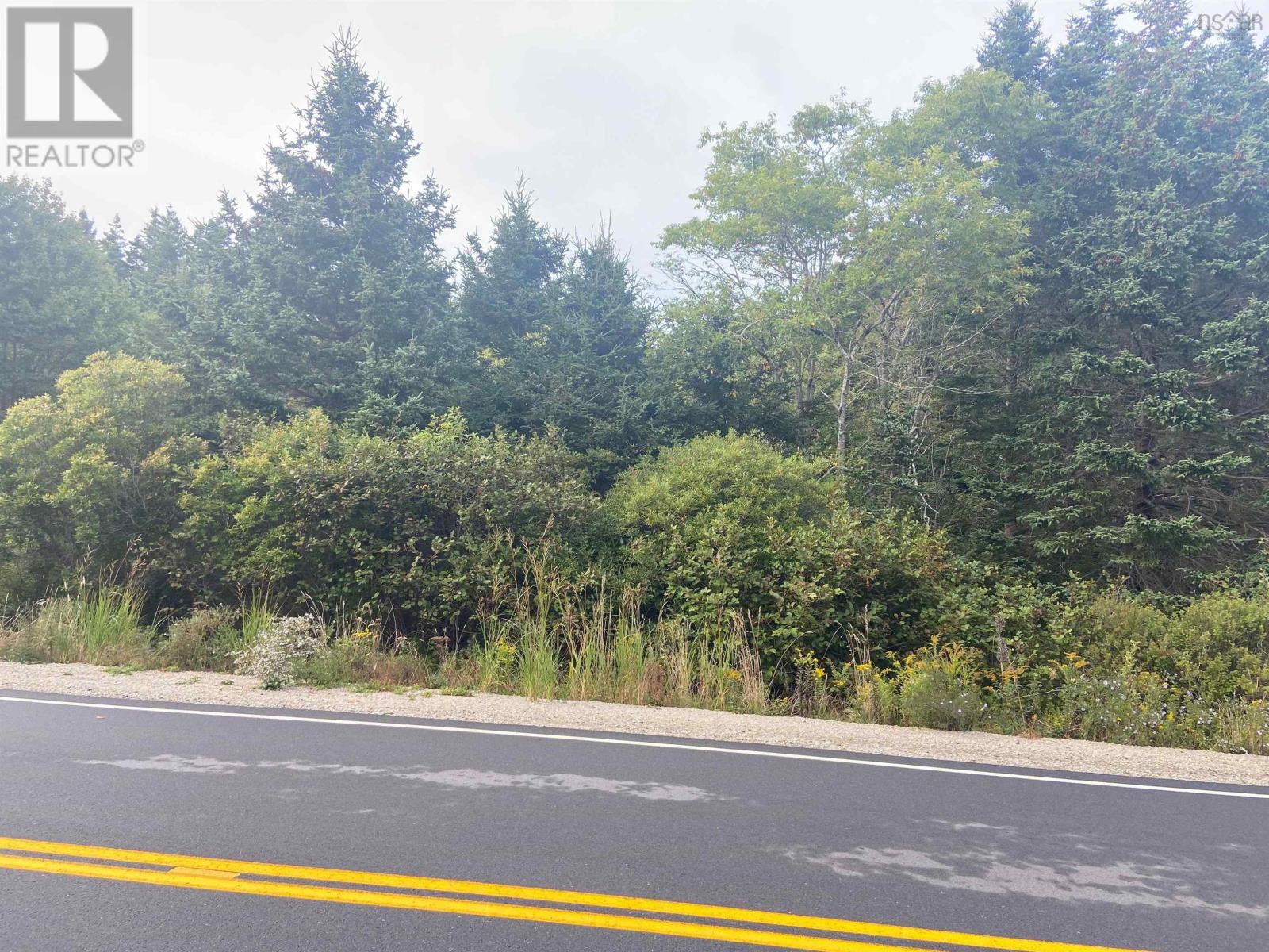 308 Highway, Morris Island, Nova Scotia  B0W 3M0 - Photo 7 - 202524589