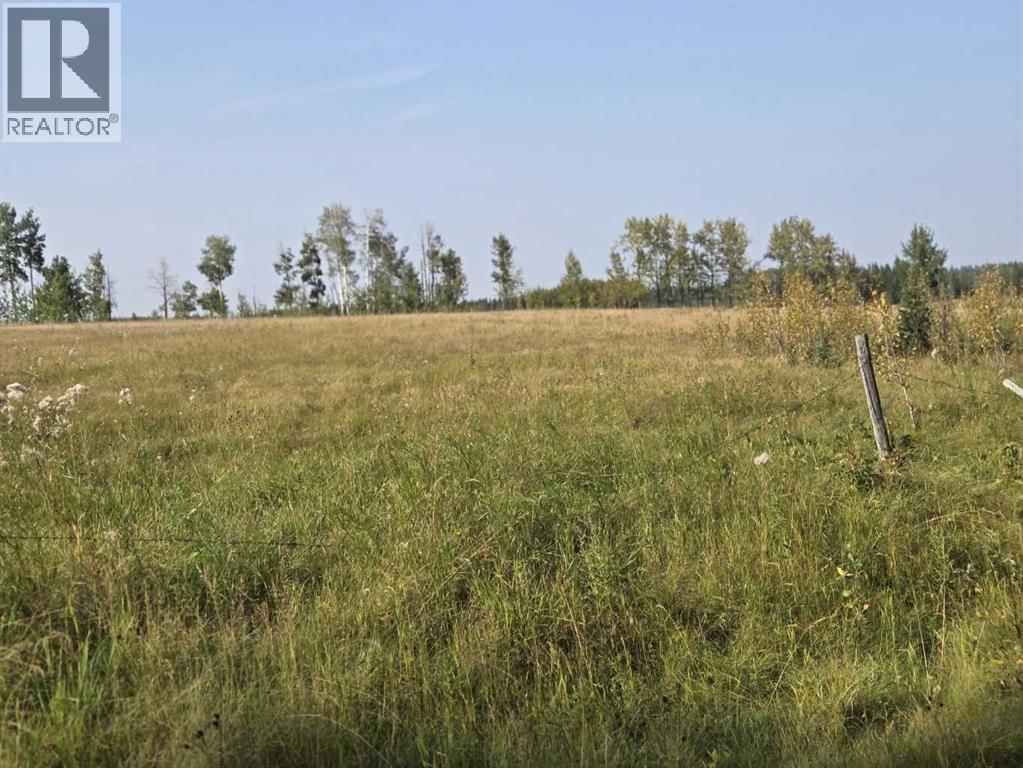 Twp 360  Rr. 43, Rural Clearwater County, Alberta  T4G 2V0 - Photo 24 - A2257013