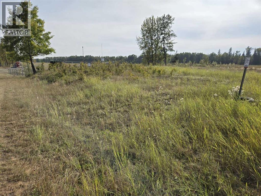 Twp 360  Rr. 43, Rural Clearwater County, Alberta  T4G 2V0 - Photo 18 - A2257013