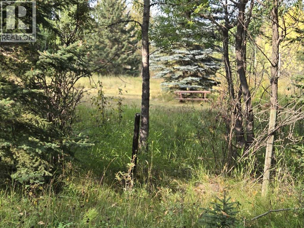 Twp 360  Rr. 43, Rural Clearwater County, Alberta  T4G 2V0 - Photo 15 - A2257013