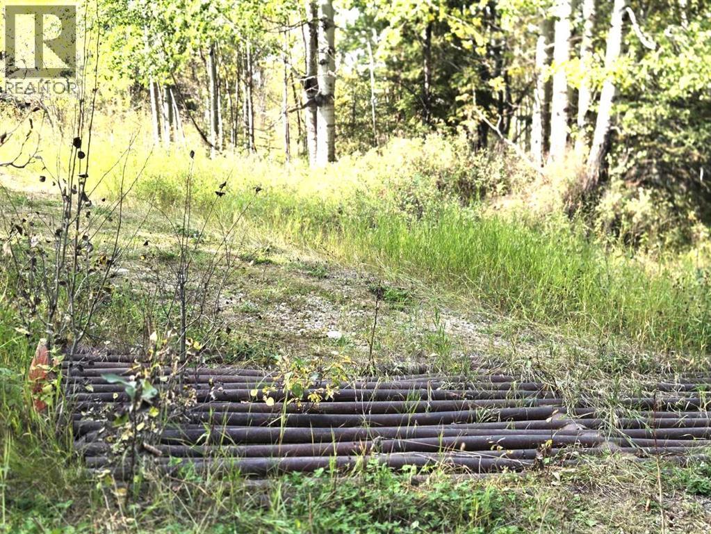 Twp 360  Rr. 43, Rural Clearwater County, Alberta  T4G 2V0 - Photo 17 - A2257013