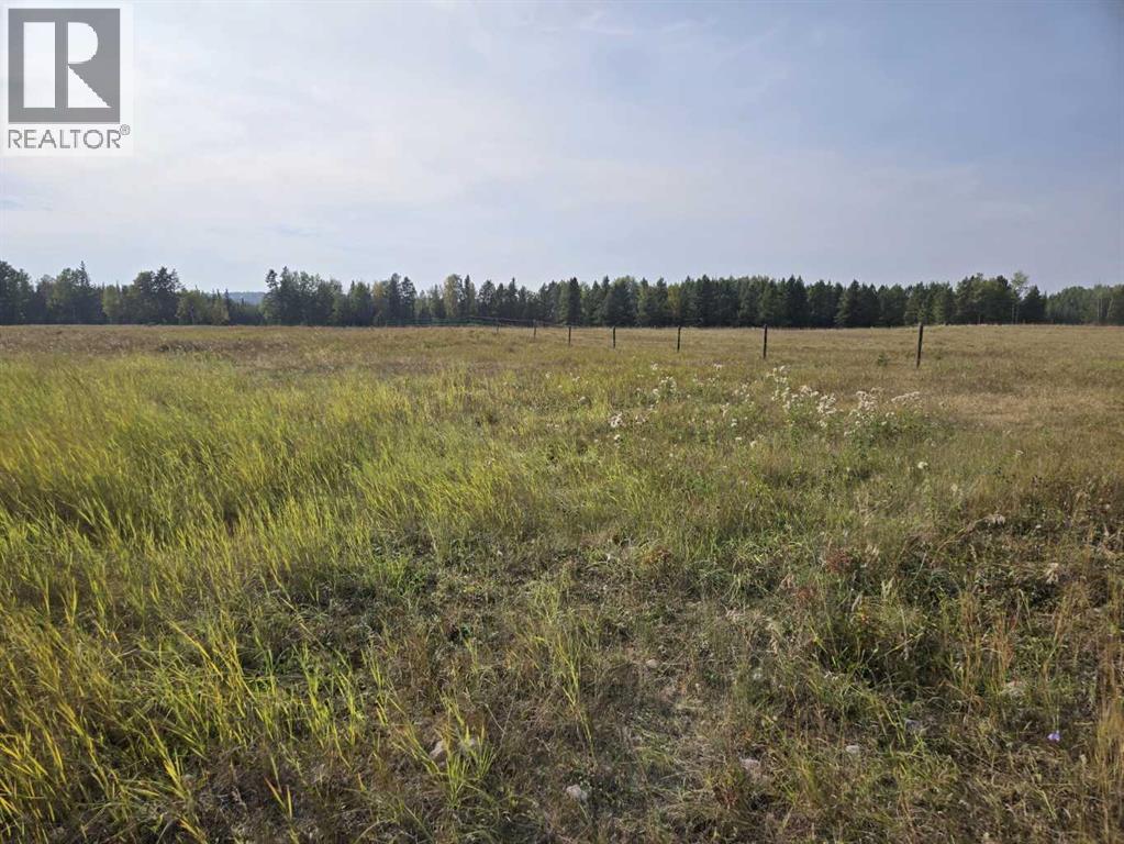 Twp 360  Rr. 43, Rural Clearwater County, Alberta  T4G 2V0 - Photo 21 - A2257013