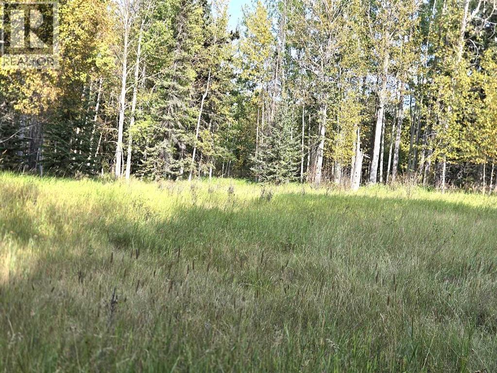Twp 360  Rr. 43, Rural Clearwater County, Alberta  T4G 2V0 - Photo 20 - A2257013