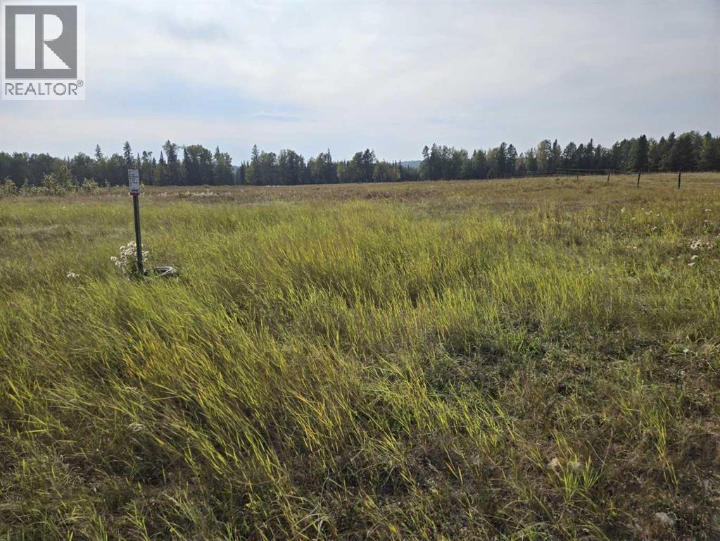 Twp 360  Rr. 43, Rural Clearwater County, Alberta  T4G 2V0 - Photo 22 - A2257013