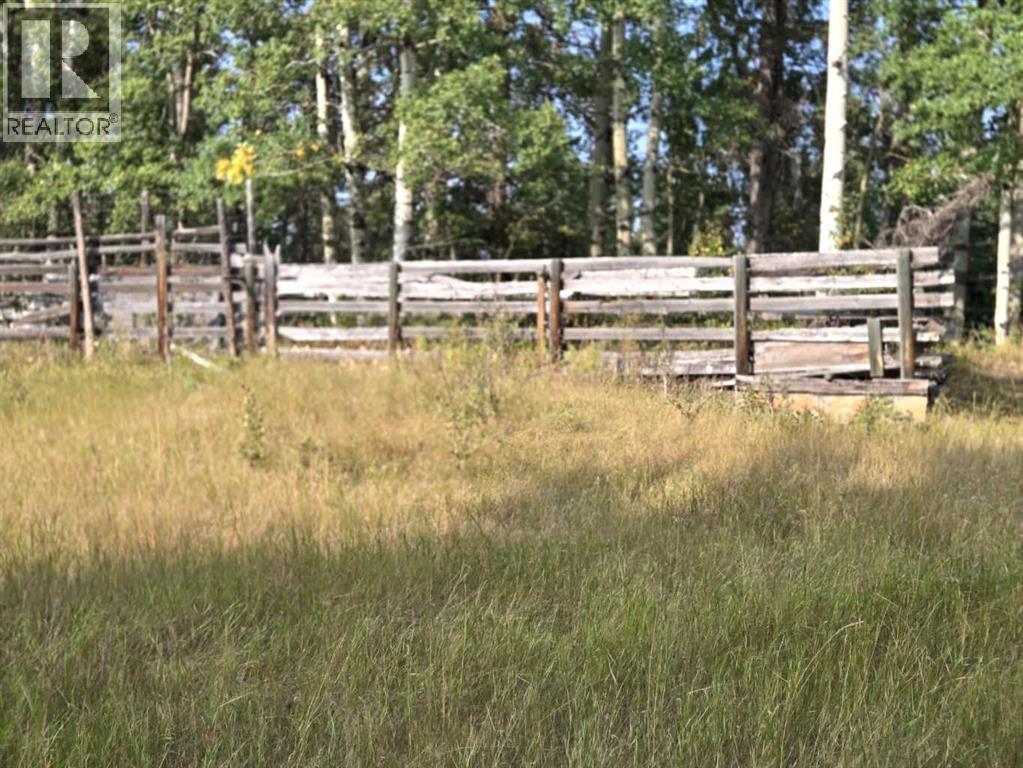 Twp 360  Rr. 43, Rural Clearwater County, Alberta  T4G 2V0 - Photo 25 - A2257013