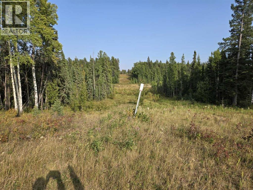 Twp 360  Rr. 43, Rural Clearwater County, Alberta  T4G 2V0 - Photo 26 - A2257013
