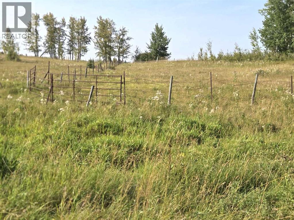 Twp 360  Rr. 43, Rural Clearwater County, Alberta  T4G 2V0 - Photo 27 - A2257013