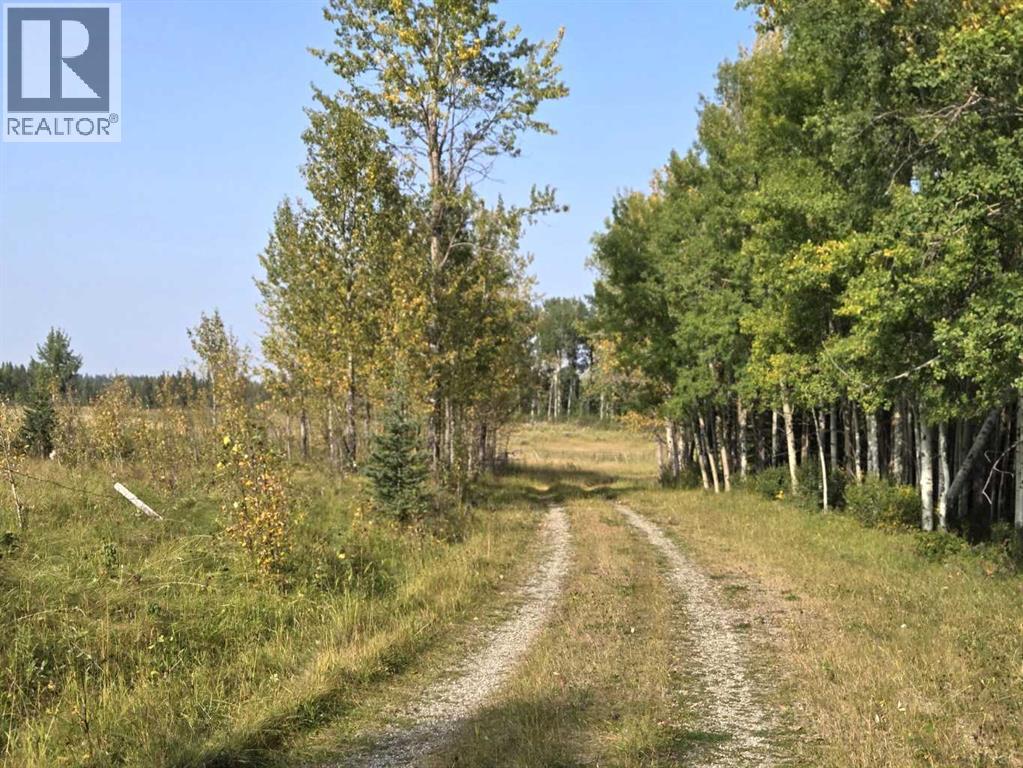 Twp 360  Rr. 43, Rural Clearwater County, Alberta  T4G 2V0 - Photo 10 - A2257013