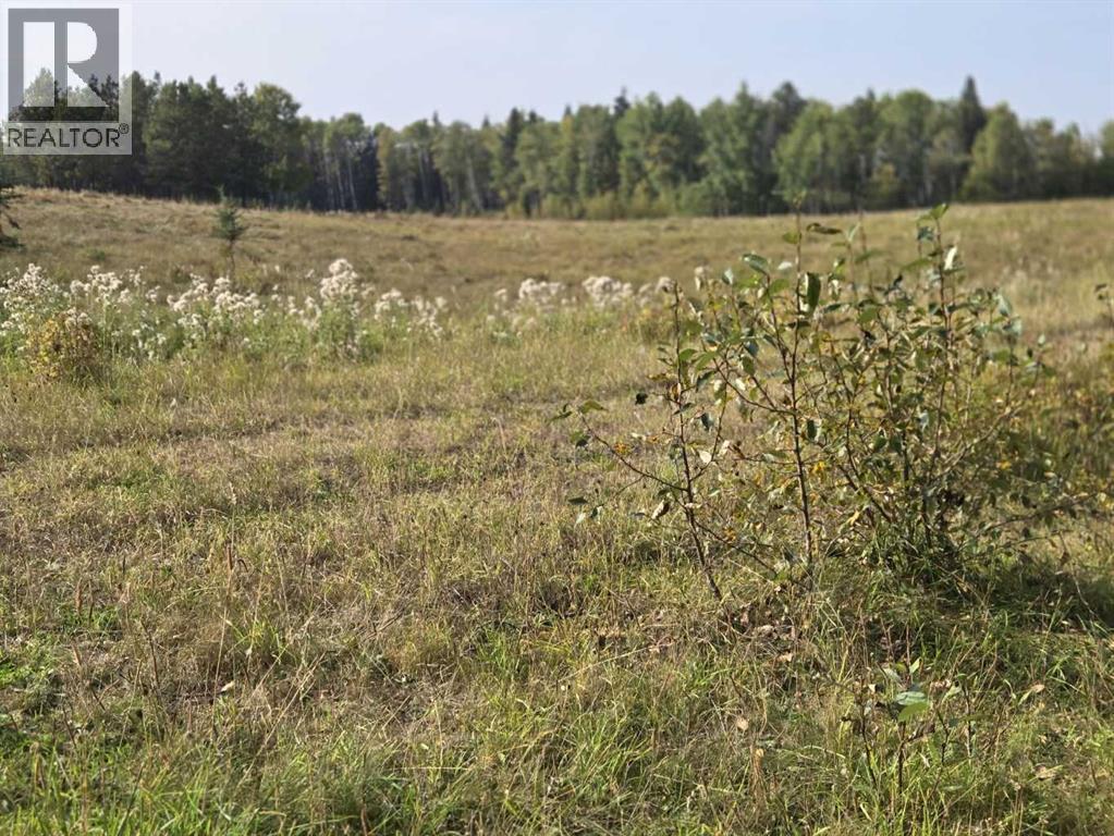 Twp 360  Rr. 43, Rural Clearwater County, Alberta  T4G 2V0 - Photo 19 - A2257013