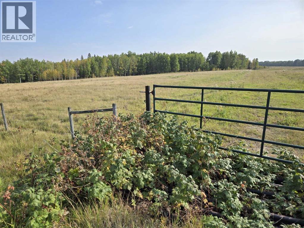Twp 360  Rr. 43, Rural Clearwater County, Alberta  T4G 2V0 - Photo 6 - A2257013