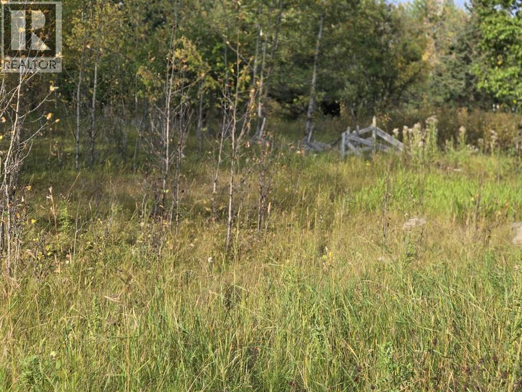 Twp 360  Rr. 43, Rural Clearwater County, Alberta  T4G 2V0 - Photo 28 - A2257013