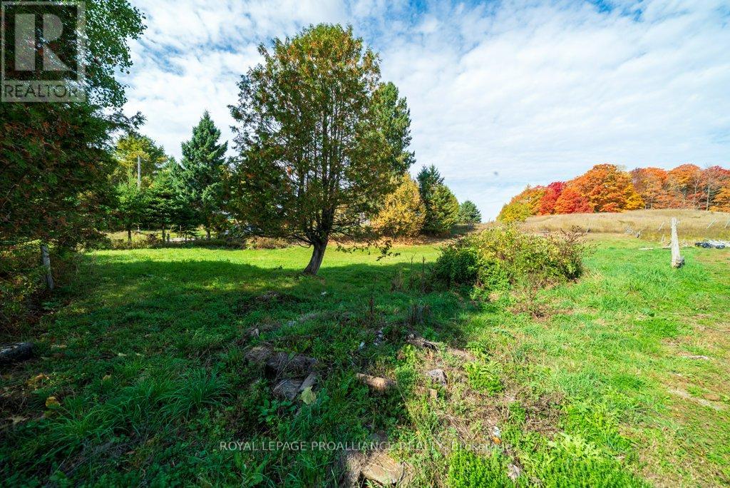 5948 Ardoch Road, North Frontenac, Ontario  K0H 1C0 - Photo 41 - X12432376