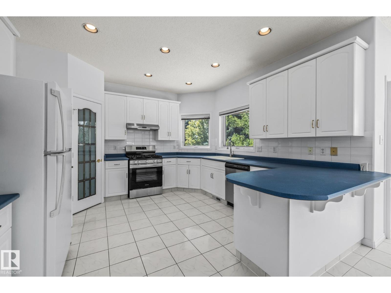806 Reid Pl Nw, Edmonton, Alberta  T6R 2B9 - Photo 22 - E4459655
