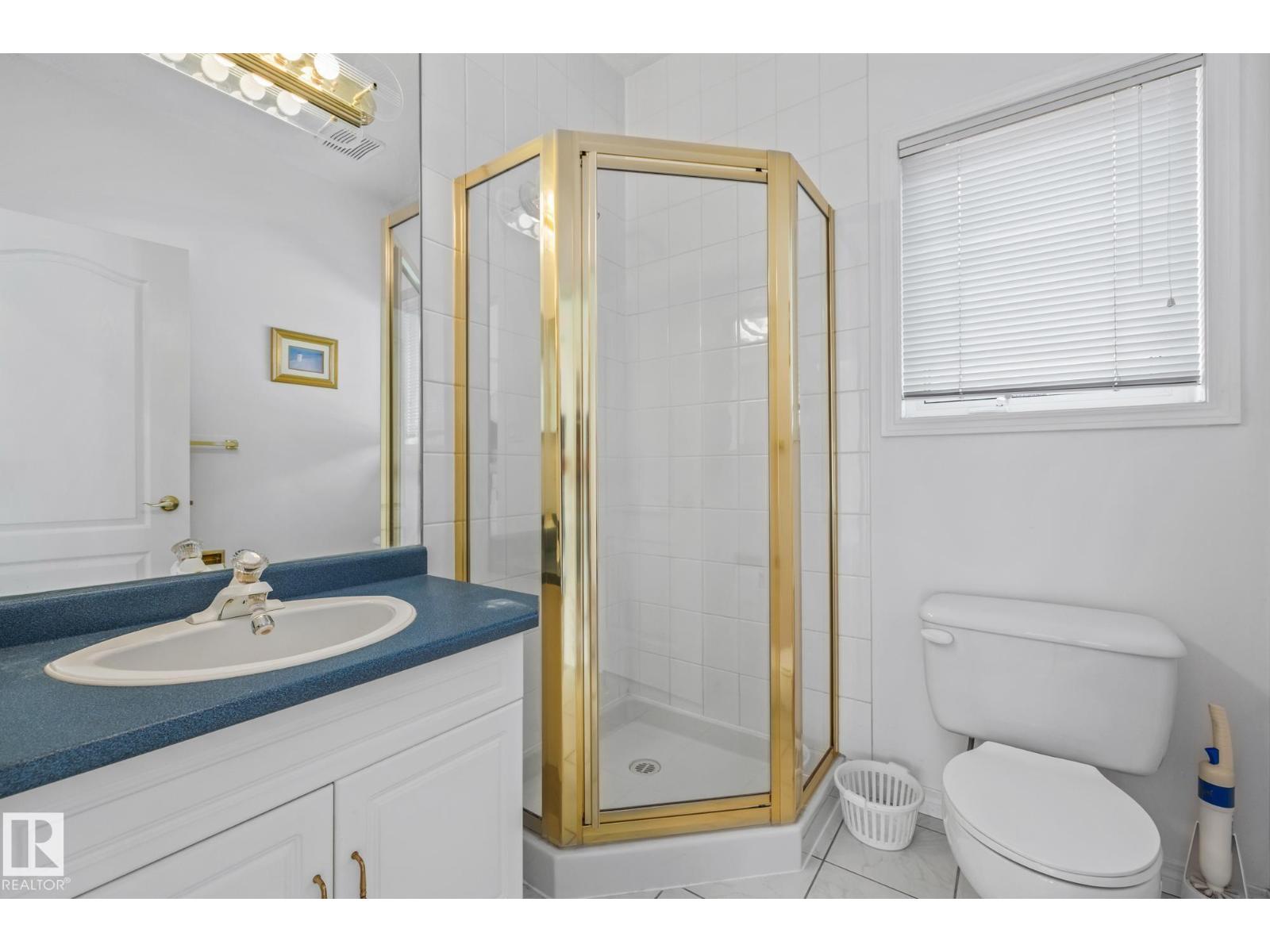 806 Reid Pl Nw, Edmonton, Alberta  T6R 2B9 - Photo 35 - E4459655