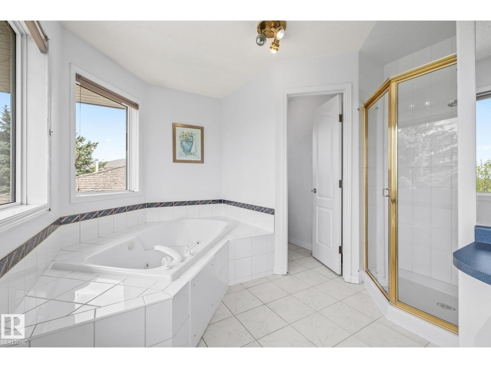 806 Reid Pl Nw, Edmonton, Alberta  T6R 2B9 - Photo 43 - E4459655