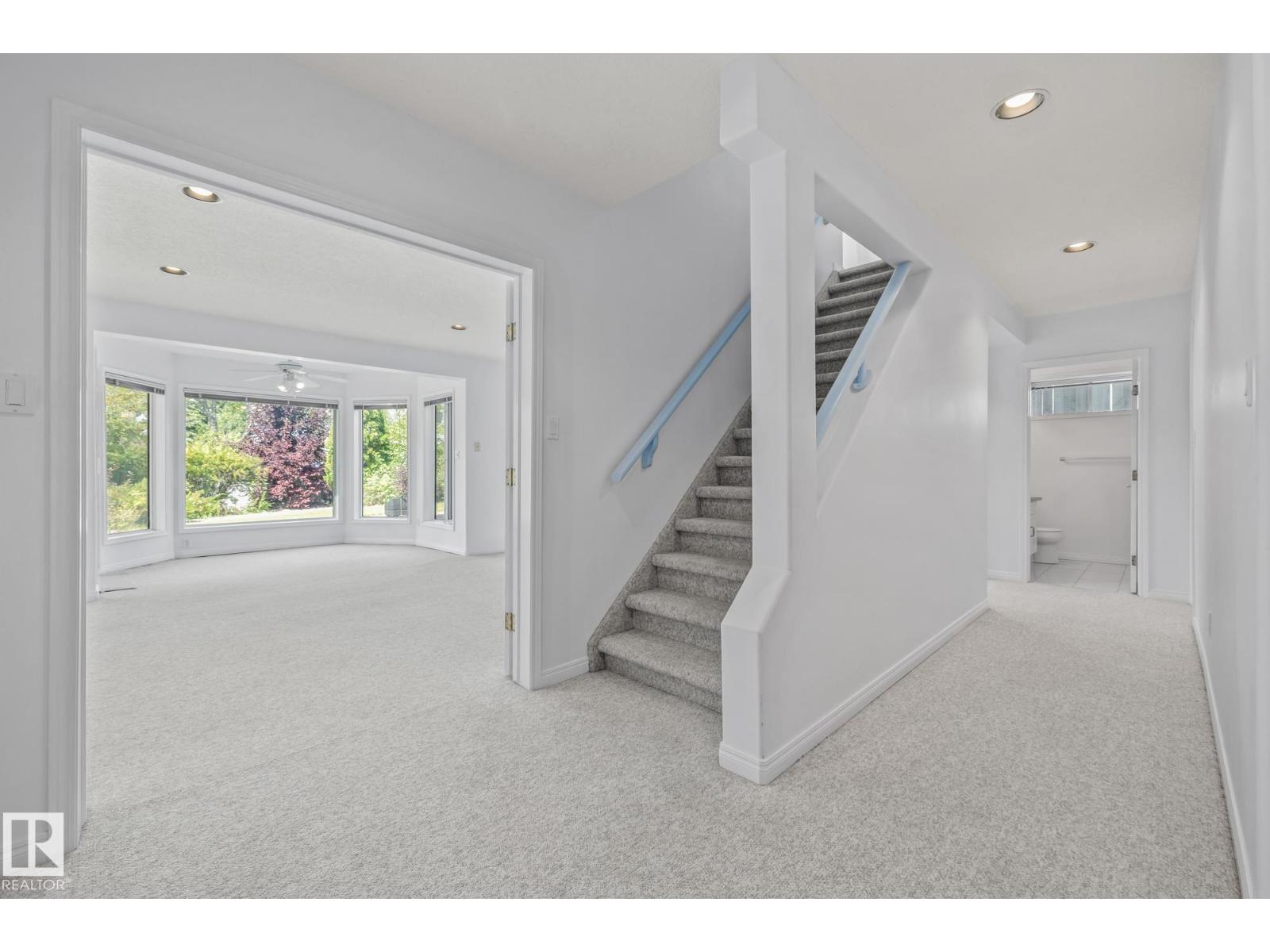 806 Reid Pl Nw, Edmonton, Alberta  T6R 2B9 - Photo 49 - E4459655