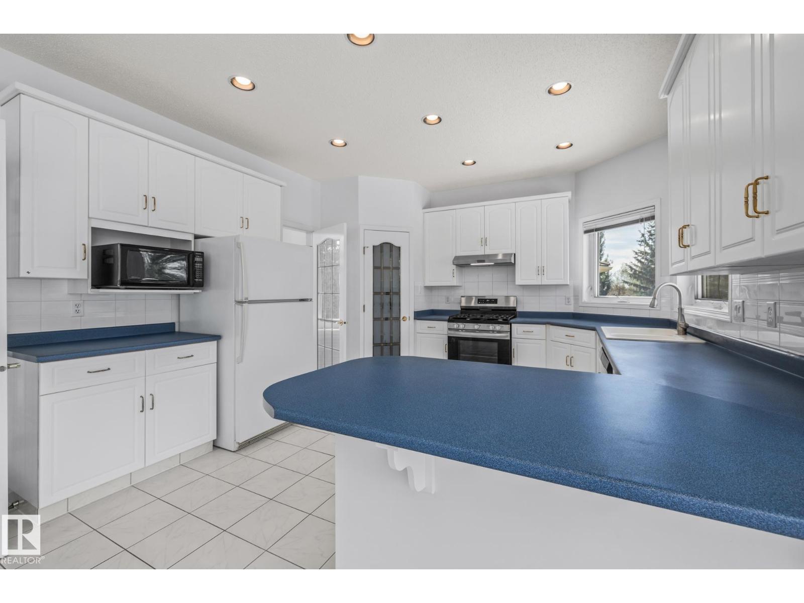 806 Reid Pl Nw, Edmonton, Alberta  T6R 2B9 - Photo 23 - E4459655
