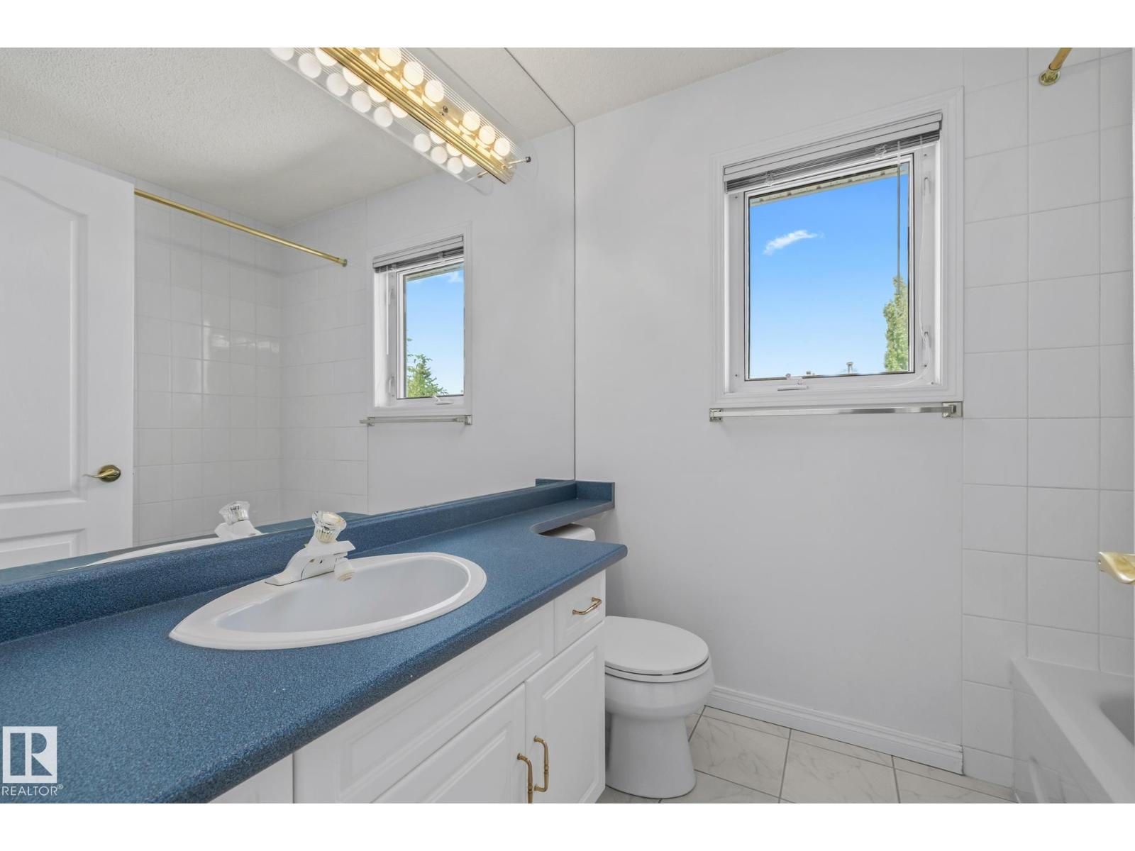 806 Reid Pl Nw, Edmonton, Alberta  T6R 2B9 - Photo 46 - E4459655