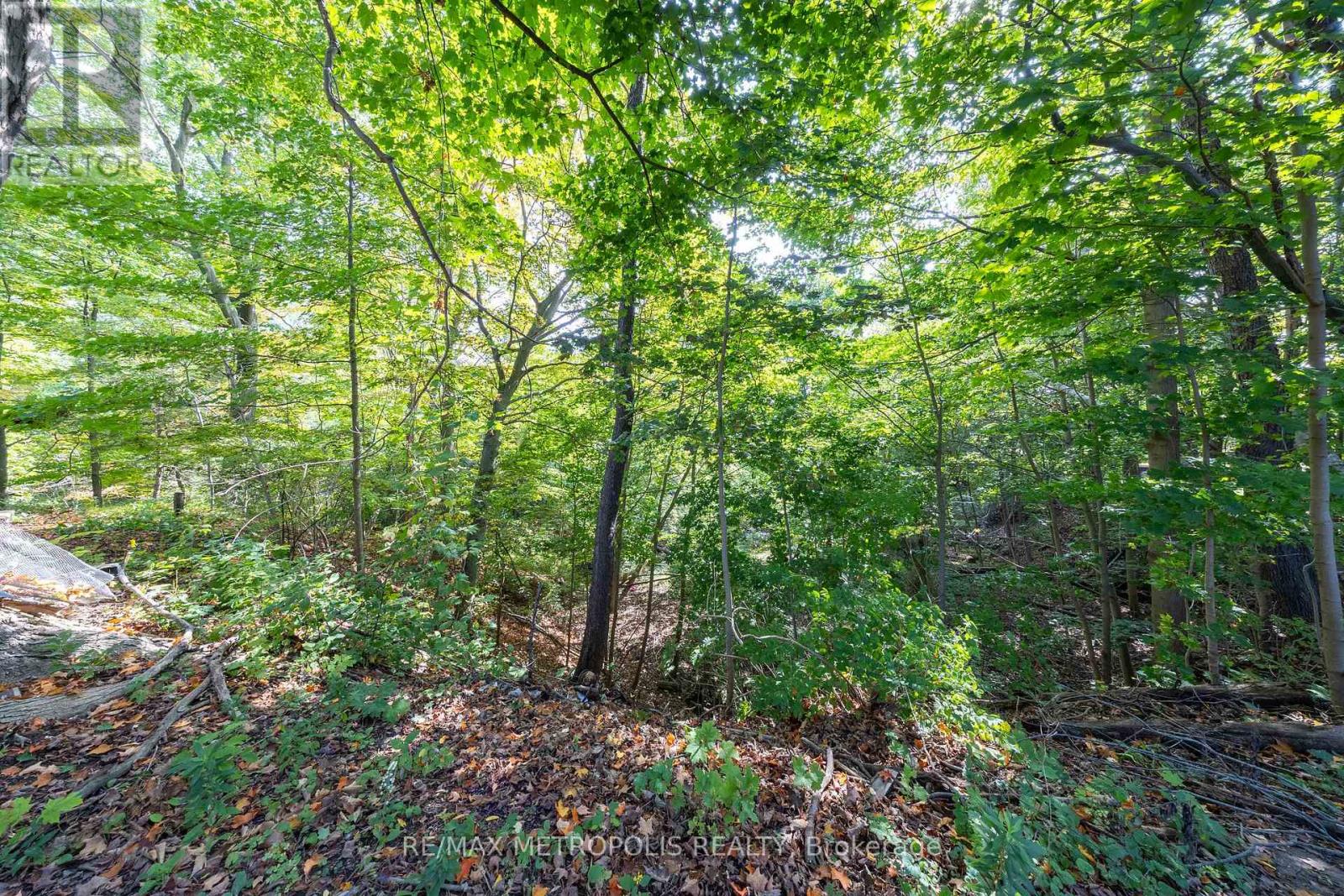 5297 Lawrence Avenue E, Toronto, Ontario  M1C 1R5 - Photo 9 - E12432330