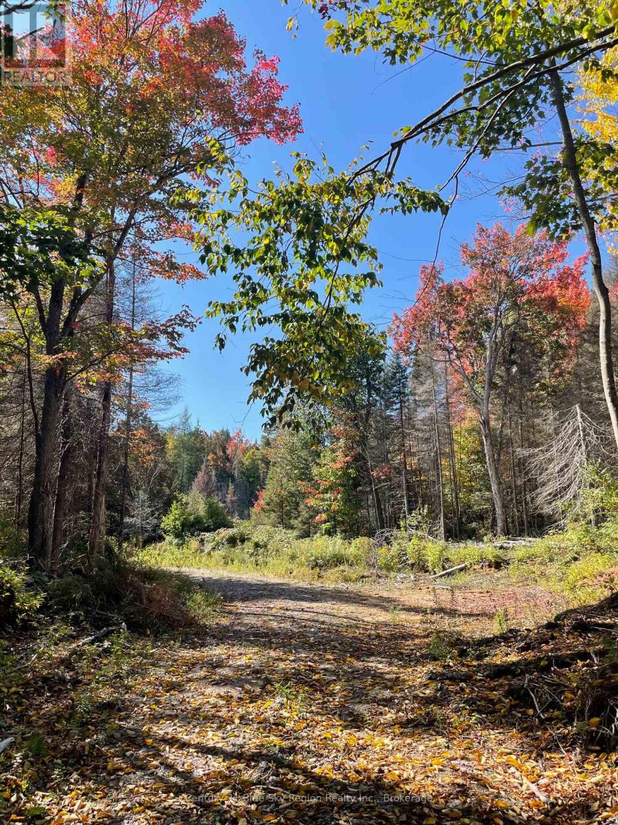 1060 Lot 7 Four Mile Lake Road, North Bay (Airport), Ontario  P1B 8G2 - Photo 44 - X12387802