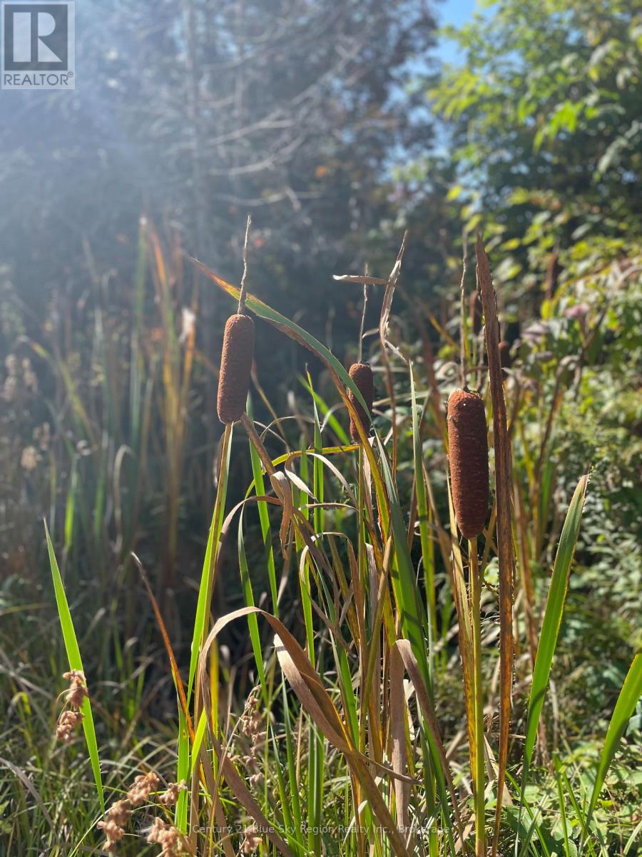 1060 Lot 7 Four Mile Lake Road, North Bay (Airport), Ontario  P1B 8G2 - Photo 45 - X12387802