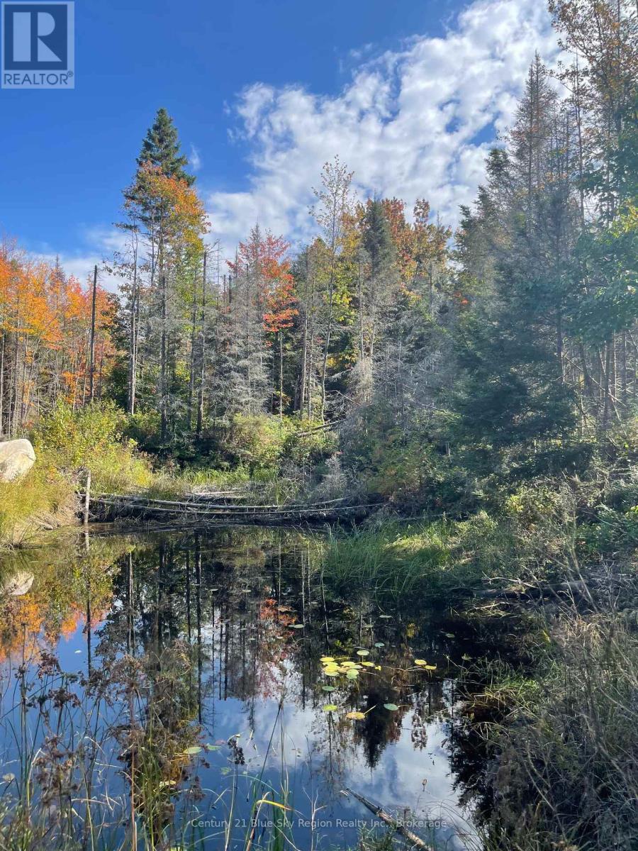 1060 Lot 7 Four Mile Lake Road, North Bay (Airport), Ontario  P1B 8G2 - Photo 48 - X12387802