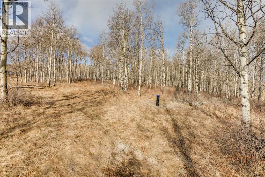 Range Rd 55 - Forestry Trunk Rd (Se 30-26-5-5), Rural Rocky View County, Alberta  T3Z 3T6 - Photo 10 - A2212862