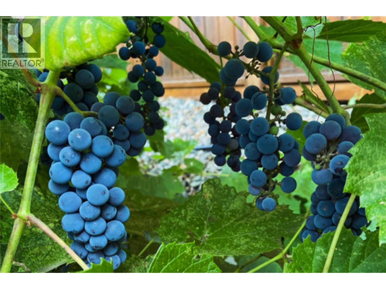 1321 24 Street Se, Salmon Arm, British Columbia  V1E 0E3 - Photo 57 - 10346528