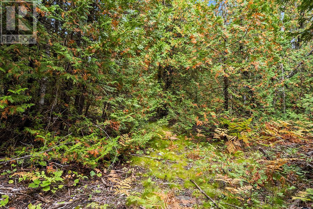 152 Shouldice Lake Road, Northern Bruce Peninsula, Ontario  N0H 1Z0 - Photo 37 - X12431341