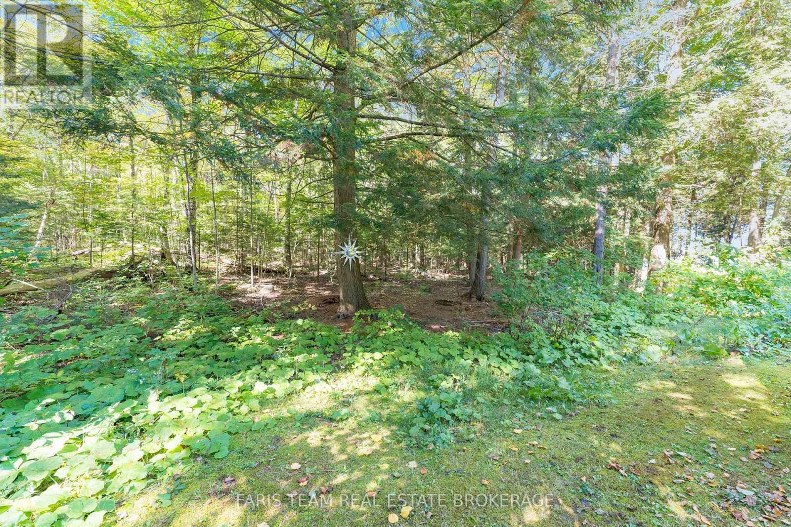 43 Manitou Crescent, Tiny, Ontario  L9M 0C6 - Photo 34 - S12423672