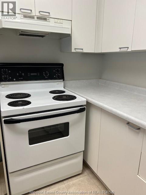 44 Robson Road Unit# 319, Leamington, Ontario  N8H 5E4 - Photo 7 - 25024737