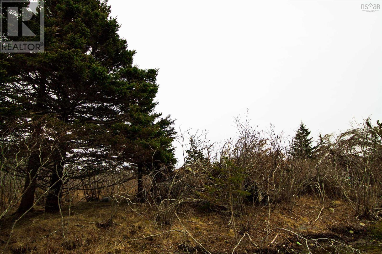 Lot 17 Quaco Road, Port Maitland, Nova Scotia  B5A 5X5 - Photo 1 - 202507131