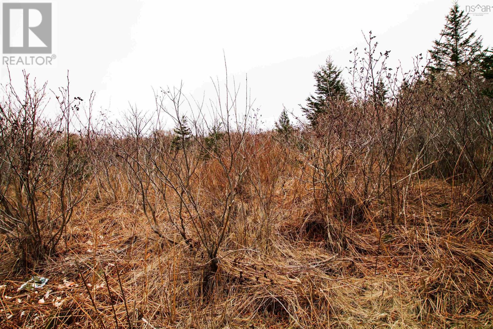 Lot 39 Quaco Road, Port Maitland, Nova Scotia  B5A 5X5 - Photo 1 - 202507134