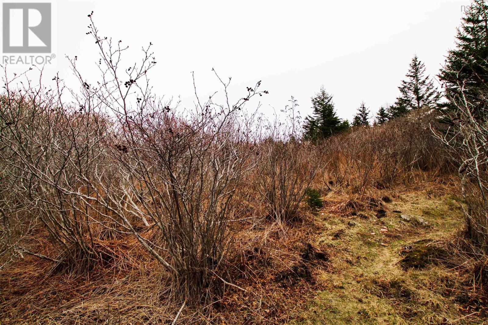 Lot 39 Quaco Road, Port Maitland, Nova Scotia  B5A 5X5 - Photo 2 - 202507134