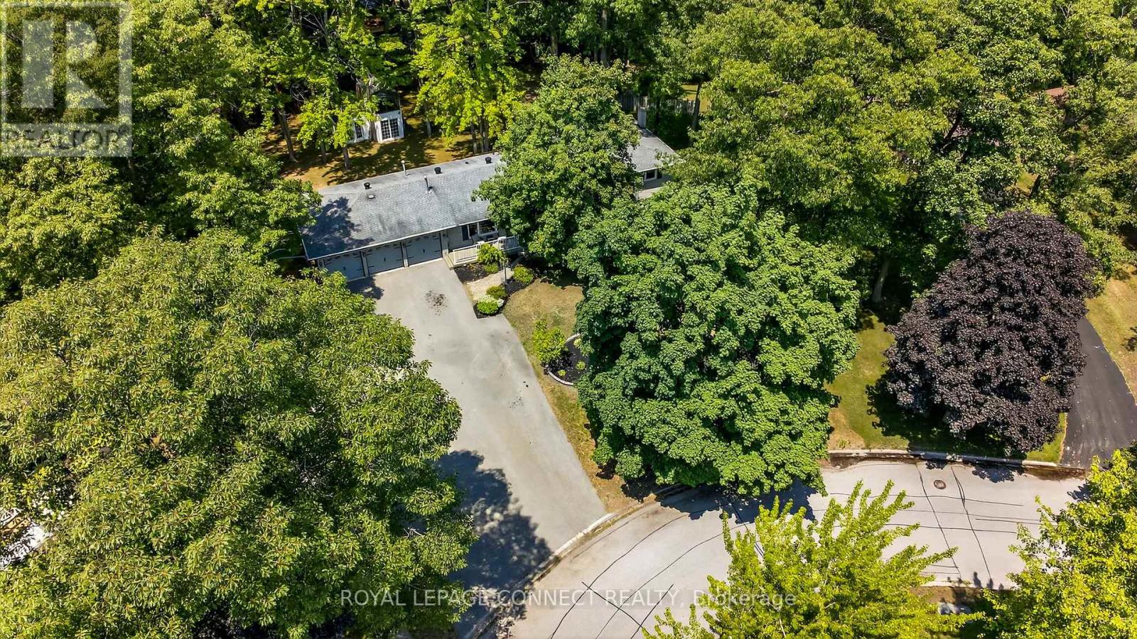 10 Donaldson Road, East Gwillimbury, Ontario  L9N 1J2 - Photo 45 - N12432507