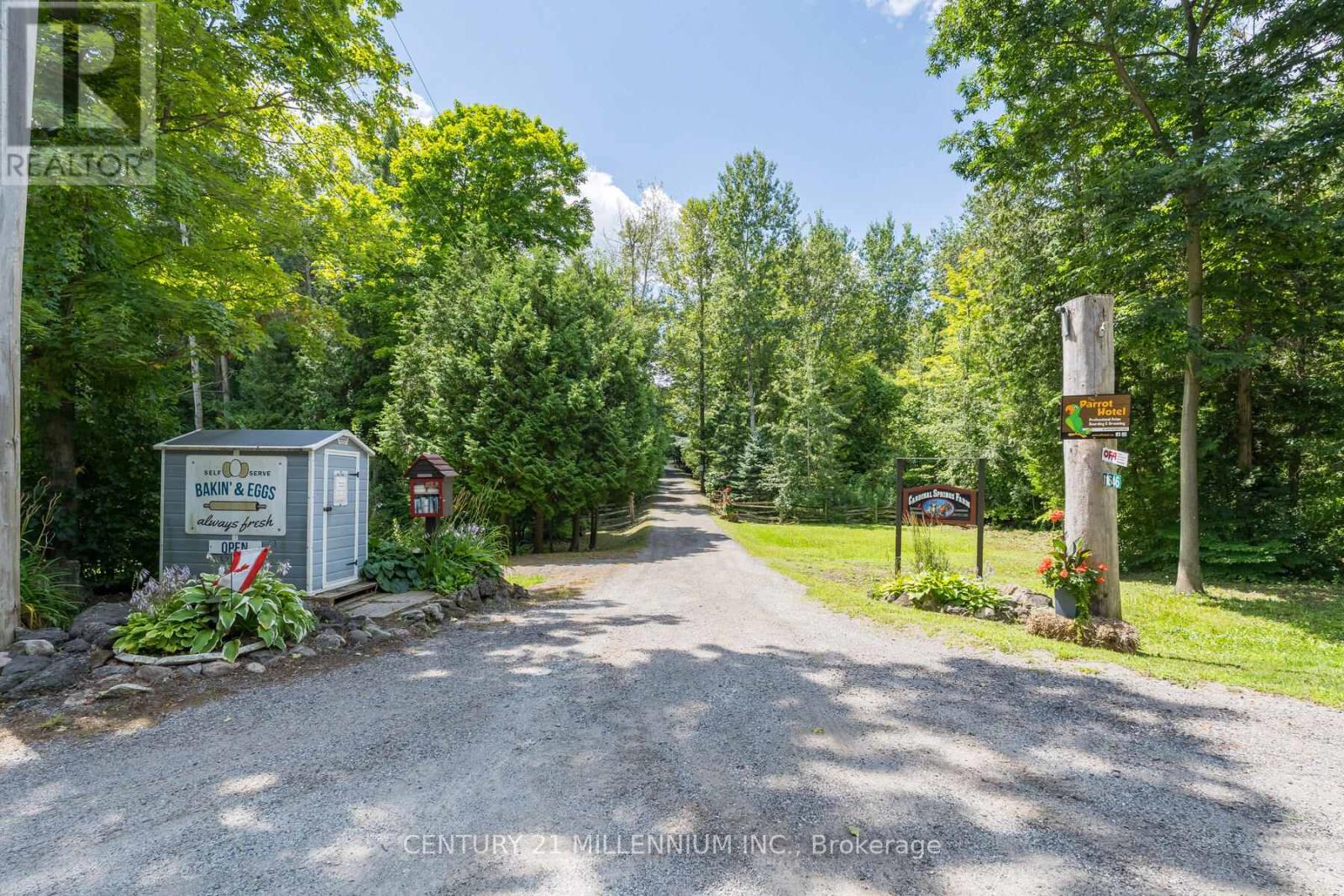 11646 Dublin Line, Halton Hills, Ontario  L7J 2M1 - Photo 5 - W12432613