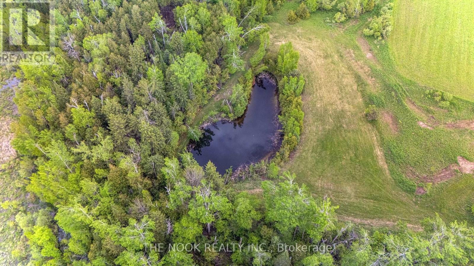 593 Pigeon Creek Road, Kawartha Lakes (Manvers), Ontario  L0B 1K0 - Photo 41 - X12432723