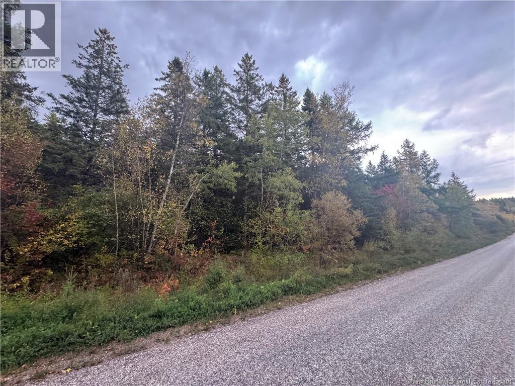 Salem Road, Hillsborough, New Brunswick  E4C 3S1 - Photo 5 - NB123095
